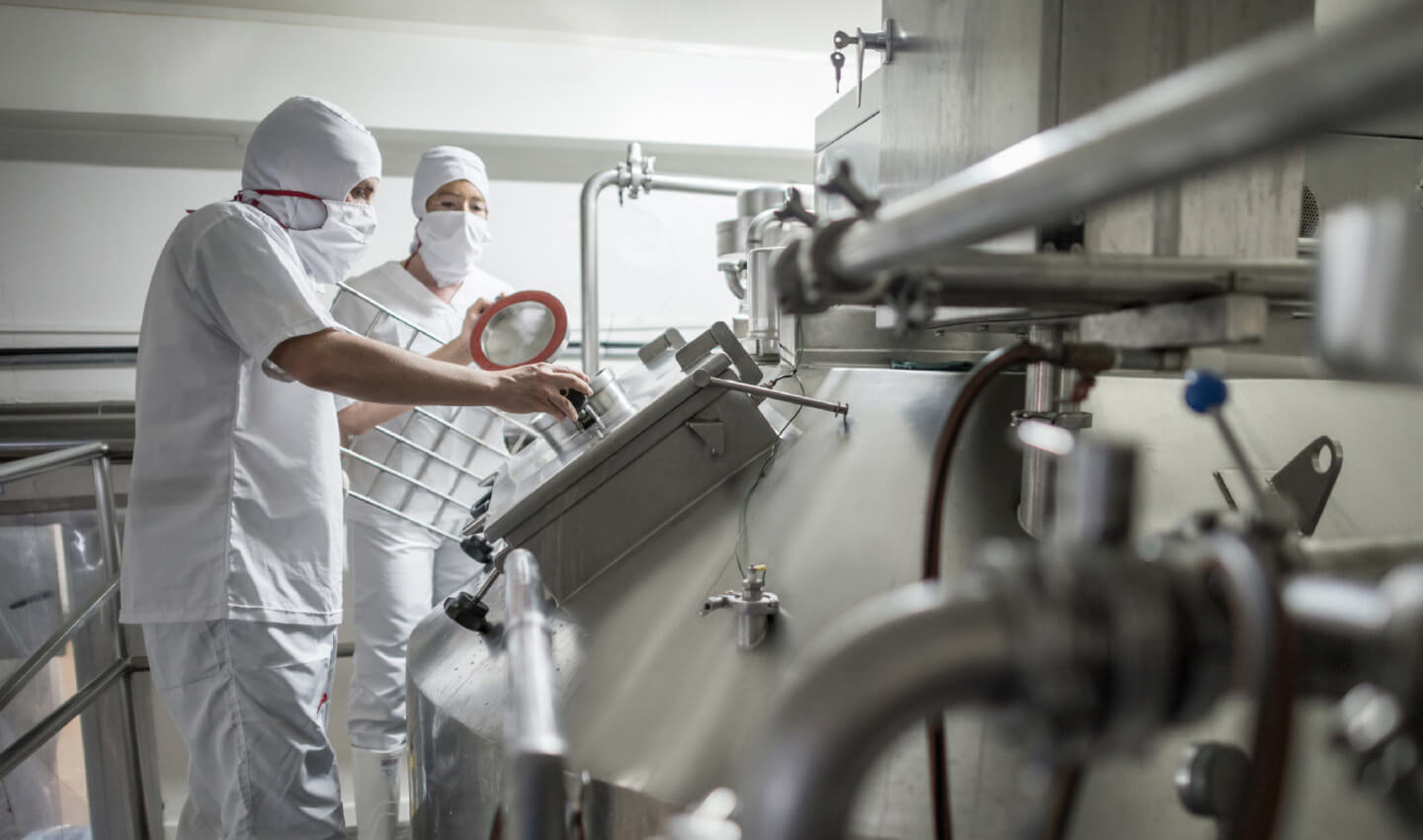 Real Lacto Alimentos Ltda